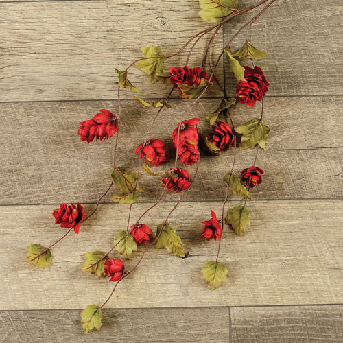 Red Hops Stem