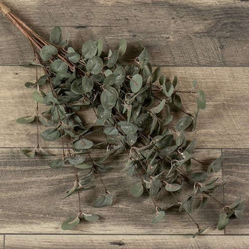 Glittered Eucalyptus Bundle Ragon House