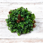 Boxwood With Pinecones Half Ball