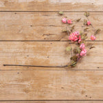 Dark Pink Hops Stem Ragon House