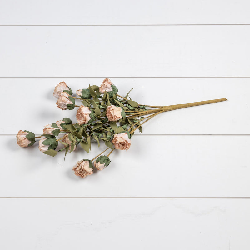 Cream Rose Bush