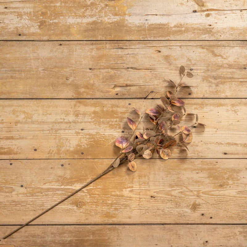 Brown Eucalyptus Spray Ragon House