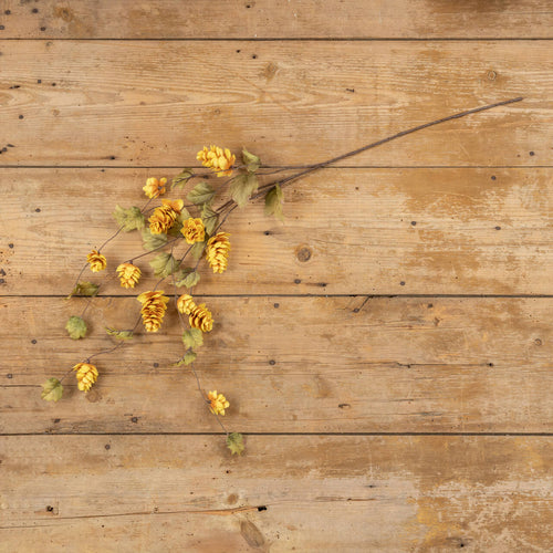 Yellow Hops Stem