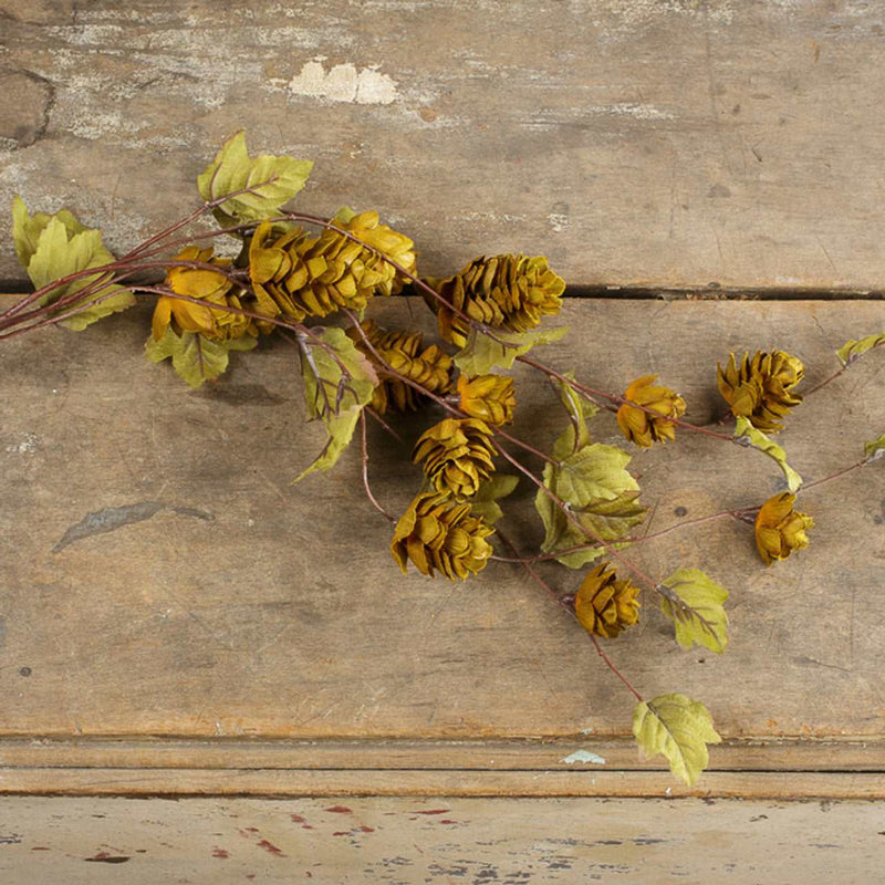 Green Hops Stem Ragon House