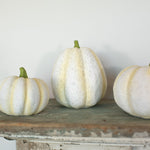 Resin Pumpkin Ragon House