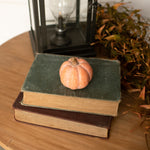 Resin Pumpkin Ragon House