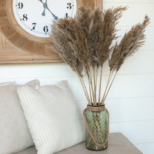 Pampas Grass Stem Ragon House