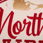 North Pole Air Mail Pillow VHC Brands