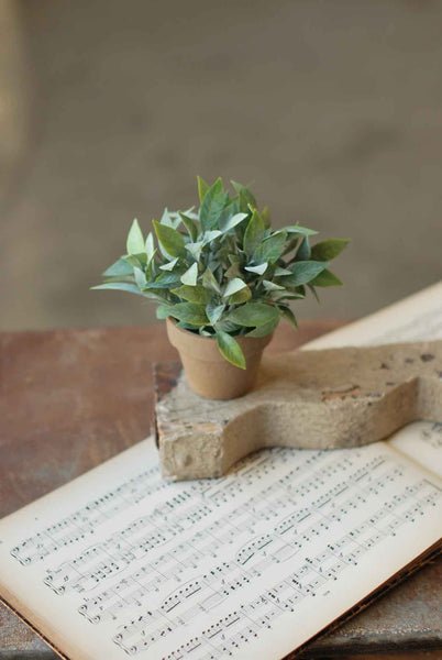 herb pots