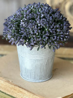 Pot