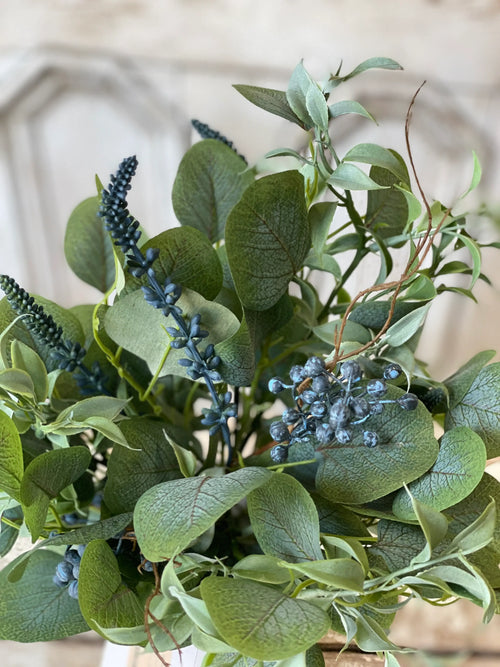 Speedwell Eucalyptus Pot