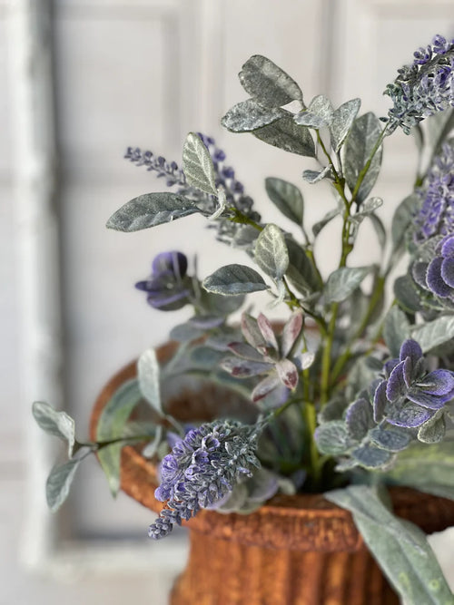 Lifting Lavender Bush