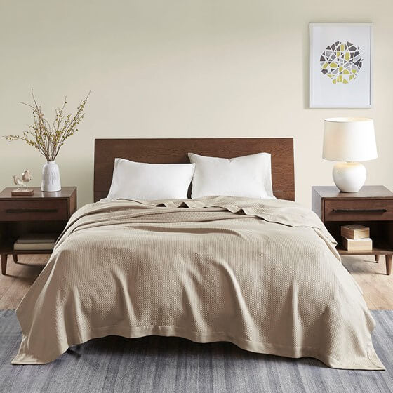 Madison Park Egyptian Cotton Blanket