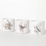 Spring Print Mini Flowerpot