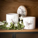 Spring Print Mini Flowerpot