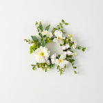 Botanical Dahlia Collection