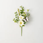 Botanical Dahlia Collection