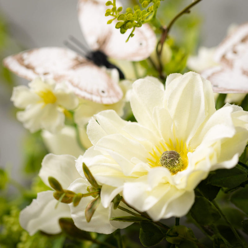 Botanical Dahlia Collection