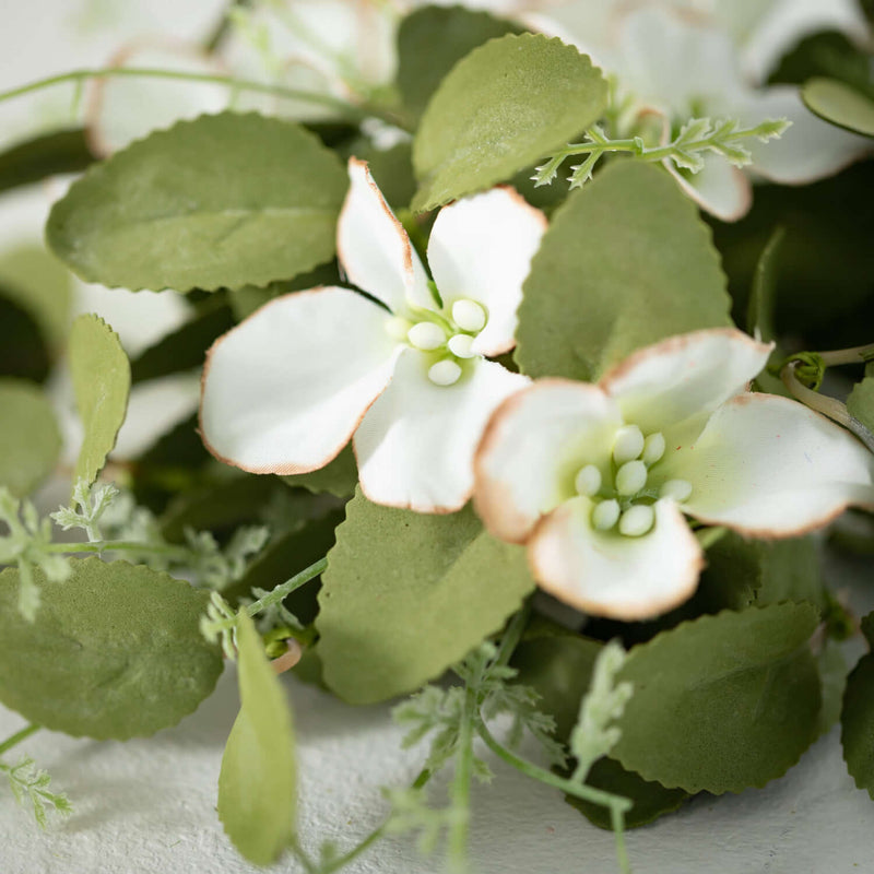 Dogwood Floral Collection